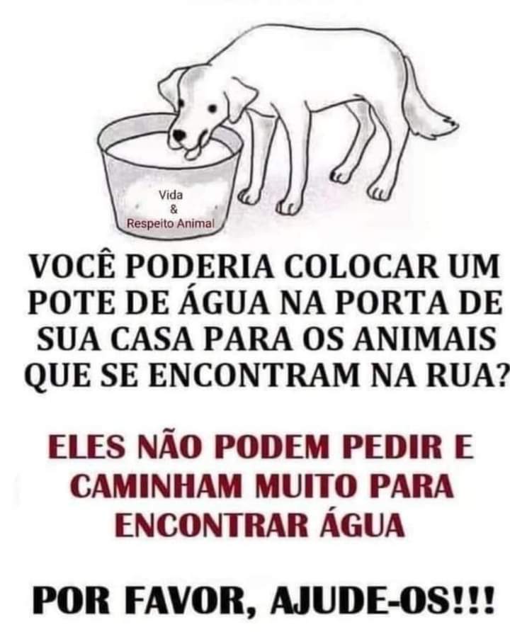 #ajudeosanimais